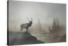 Stretched Canvas