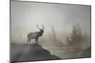 Wood Mount