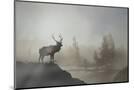 Wood Mount