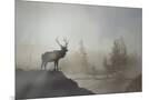 Wood Mount