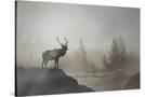 Stretched Canvas