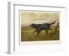 Gordon Setter in the Field with Its Classic Black and Tan Colouring-Langham David-Framed Art Print