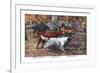 Gordon Setter, Irish Setter, English Setter-Louis Agassiz Fuertes-Framed Premium Giclee Print