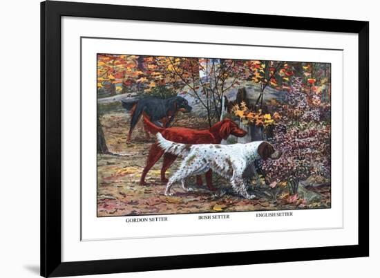 Gordon Setter, Irish Setter, English Setter-Louis Agassiz Fuertes-Framed Premium Giclee Print