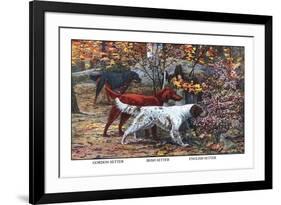 Gordon Setter, Irish Setter, English Setter-Louis Agassiz Fuertes-Framed Premium Giclee Print