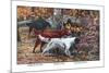 Gordon Setter, Irish Setter, English Setter-Louis Agassiz Fuertes-Mounted Premium Giclee Print