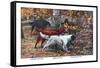 Gordon Setter, Irish Setter, English Setter-Louis Agassiz Fuertes-Framed Stretched Canvas