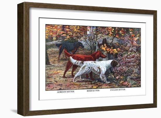 Gordon Setter, Irish Setter, English Setter-Louis Agassiz Fuertes-Framed Art Print