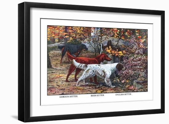 Gordon Setter, Irish Setter, English Setter-Louis Agassiz Fuertes-Framed Art Print