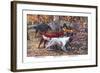 Gordon Setter, Irish Setter, English Setter-Louis Agassiz Fuertes-Framed Art Print