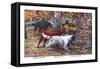 Gordon Setter, Irish Setter, English Setter-Louis Agassiz Fuertes-Framed Stretched Canvas