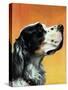 "Gordon Setter," October 17, 1942-W.W. Calvert-Stretched Canvas