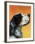 "Gordon Setter," October 17, 1942-W.W. Calvert-Framed Giclee Print