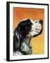 "Gordon Setter," October 17, 1942-W.W. Calvert-Framed Giclee Print