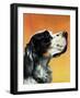 "Gordon Setter," October 17, 1942-W.W. Calvert-Framed Giclee Print