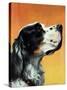 "Gordon Setter," October 17, 1942-W.W. Calvert-Stretched Canvas