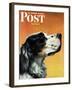 "Gordon Setter," Saturday Evening Post Cover, October 17, 1942-W.W. Calvert-Framed Giclee Print