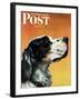 "Gordon Setter," Saturday Evening Post Cover, October 17, 1942-W.W. Calvert-Framed Giclee Print