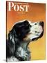 "Gordon Setter," Saturday Evening Post Cover, October 17, 1942-W.W. Calvert-Stretched Canvas