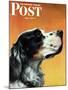 "Gordon Setter," Saturday Evening Post Cover, October 17, 1942-W.W. Calvert-Mounted Giclee Print