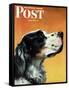 "Gordon Setter," Saturday Evening Post Cover, October 17, 1942-W.W. Calvert-Framed Stretched Canvas