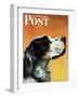 "Gordon Setter," Saturday Evening Post Cover, October 17, 1942-W.W. Calvert-Framed Giclee Print