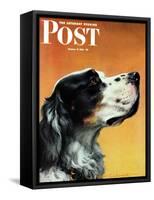 "Gordon Setter," Saturday Evening Post Cover, October 17, 1942-W.W. Calvert-Framed Stretched Canvas