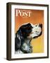 "Gordon Setter," Saturday Evening Post Cover, October 17, 1942-W.W. Calvert-Framed Premium Giclee Print