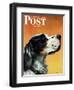 "Gordon Setter," Saturday Evening Post Cover, October 17, 1942-W.W. Calvert-Framed Giclee Print