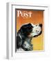 "Gordon Setter," Saturday Evening Post Cover, October 17, 1942-W.W. Calvert-Framed Giclee Print