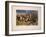 Gordons and Greys, C.1900-Stanley Berkeley-Framed Giclee Print