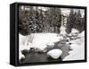 Gore Creek, Vail Ski Resort, Rocky Mountains, Colorado, United States of America, North America-Richard Cummins-Framed Stretched Canvas