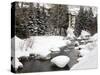 Gore Creek, Vail Ski Resort, Rocky Mountains, Colorado, United States of America, North America-Richard Cummins-Stretched Canvas
