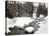 Gore Creek, Vail Ski Resort, Rocky Mountains, Colorado, United States of America, North America-Richard Cummins-Stretched Canvas