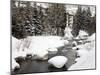 Gore Creek, Vail Ski Resort, Rocky Mountains, Colorado, United States of America, North America-Richard Cummins-Mounted Photographic Print