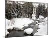 Gore Creek, Vail Ski Resort, Rocky Mountains, Colorado, United States of America, North America-Richard Cummins-Mounted Photographic Print