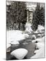 Gore Creek, Vail Ski Resort, Rocky Mountains, Colorado, United States of America, North America-Richard Cummins-Mounted Photographic Print