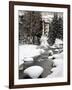 Gore Creek, Vail Ski Resort, Rocky Mountains, Colorado, United States of America, North America-Richard Cummins-Framed Photographic Print