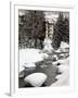 Gore Creek, Vail Ski Resort, Rocky Mountains, Colorado, United States of America, North America-Richard Cummins-Framed Photographic Print