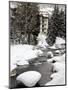 Gore Creek, Vail Ski Resort, Rocky Mountains, Colorado, United States of America, North America-Richard Cummins-Mounted Photographic Print