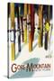 Gore Mountain, New York - Colorful Skis-Lantern Press-Stretched Canvas