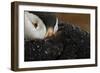 Goretex-Mario Suárez-Framed Photographic Print