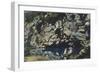 Gorgazzo River Springs, 1872-Luigi Nono-Framed Giclee Print