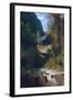 Gorge Near Amalfi, 1831-Carl Blechen-Framed Giclee Print