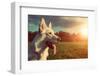 Gorgeous Large White Dog in a Park, Colorised Image-ABO PHOTOGRAPHY-Framed Photographic Print