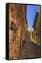 Gorgeous medieval village, cobblestone narrow lane and flowers, Peratallada, Baix Emporda, Girona,-Eleanor Scriven-Framed Stretched Canvas