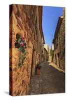 Gorgeous medieval village, cobblestone narrow lane and flowers, Peratallada, Baix Emporda, Girona,-Eleanor Scriven-Stretched Canvas