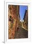 Gorgeous medieval village, cobblestone narrow lane and flowers, Peratallada, Baix Emporda, Girona,-Eleanor Scriven-Framed Photographic Print