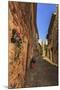 Gorgeous medieval village, cobblestone narrow lane and flowers, Peratallada, Baix Emporda, Girona,-Eleanor Scriven-Mounted Photographic Print