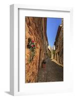 Gorgeous medieval village, cobblestone narrow lane and flowers, Peratallada, Baix Emporda, Girona,-Eleanor Scriven-Framed Photographic Print